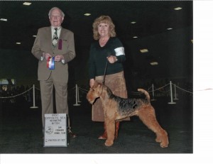 UKC Ch Hat Trick's All American Cowgirl